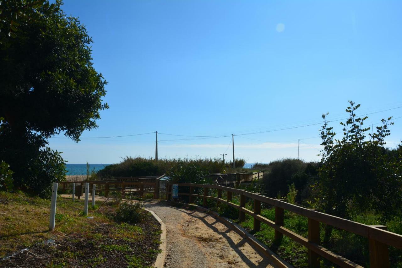 Estrela Do Mar A 50 Metros Da Apartamento *